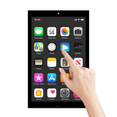 10 Zoll LCD-Modul hochauflösender IPS-LCD-Touchscreen